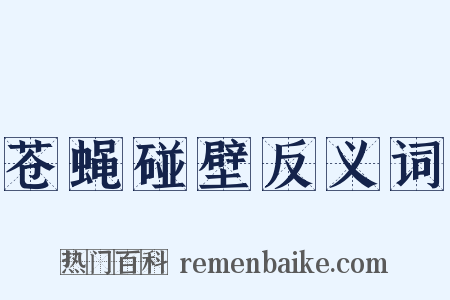 苍蝇碰壁反义词是什么意思的图片